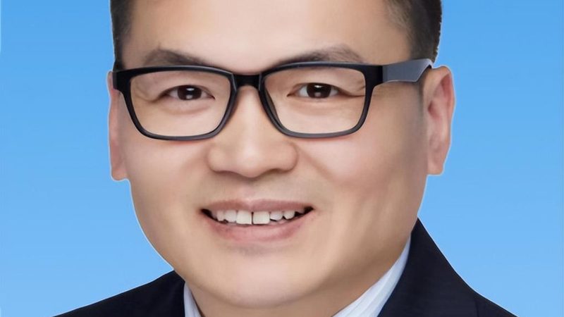 揭秘电子产品行业：揭秘排名前十的厂家**